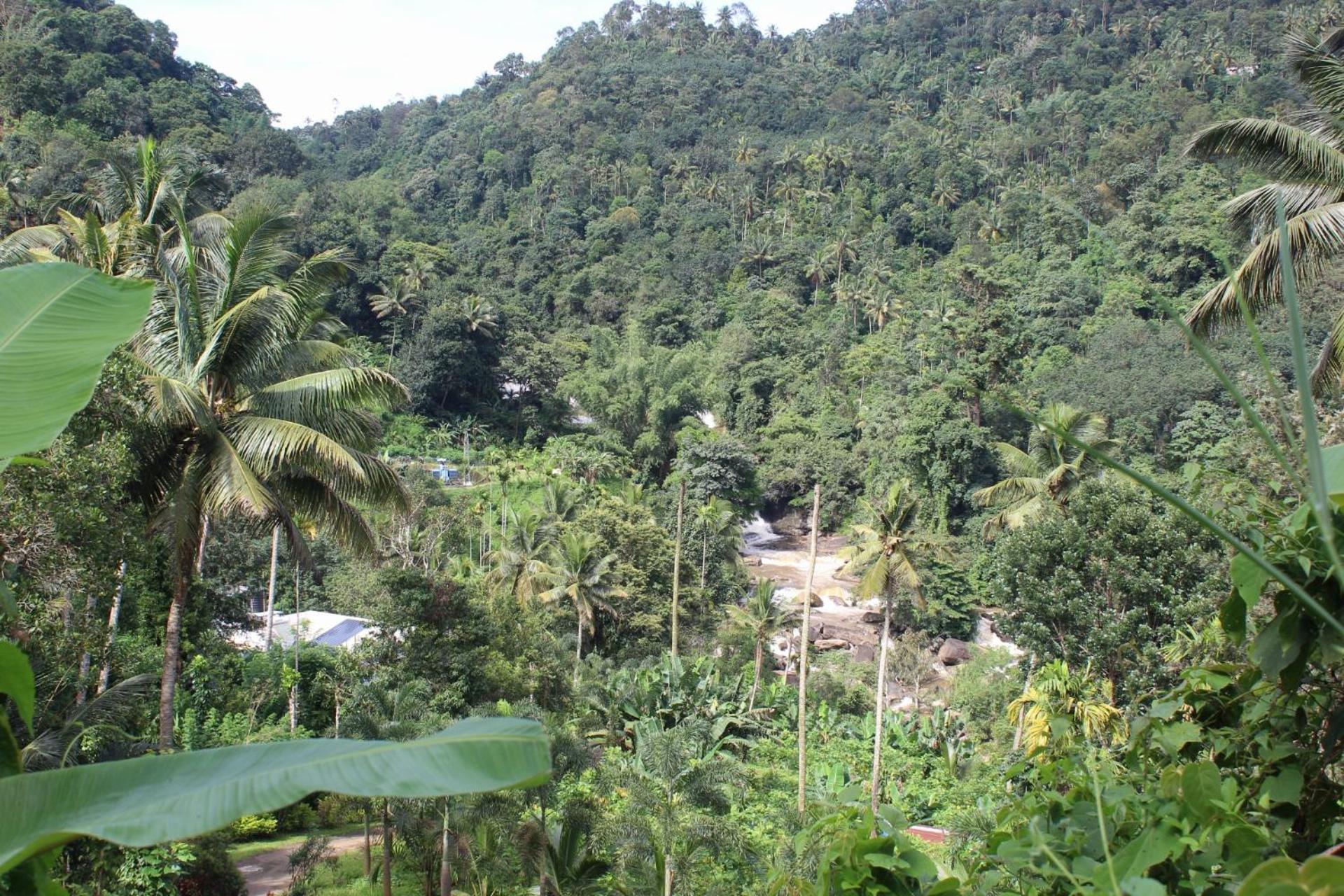 Munnar Village Homes Dış mekan fotoğraf