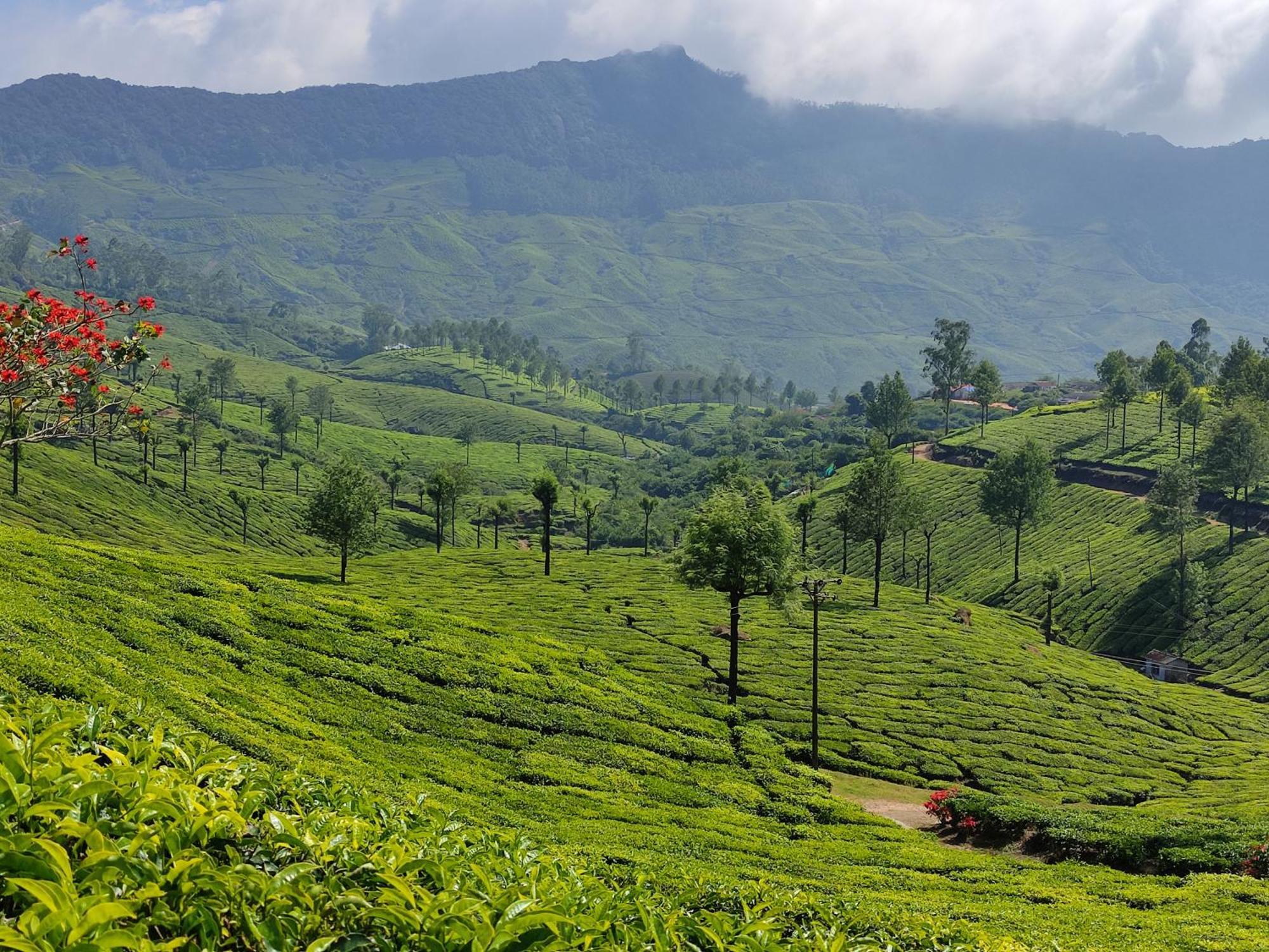 Munnar Village Homes Dış mekan fotoğraf